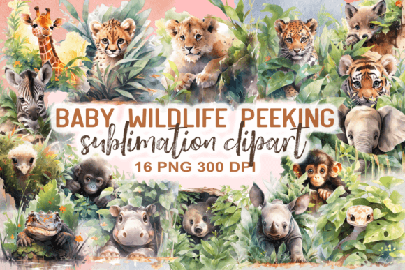 Download Baby Wildlife Animal Peeking Clipart - Wildlife Collection