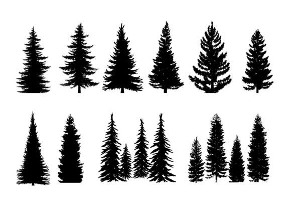 Download Set of 10 Pine Trees Silhouettes - Silhouette Collection